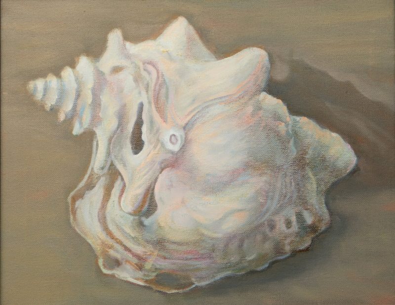 Conch