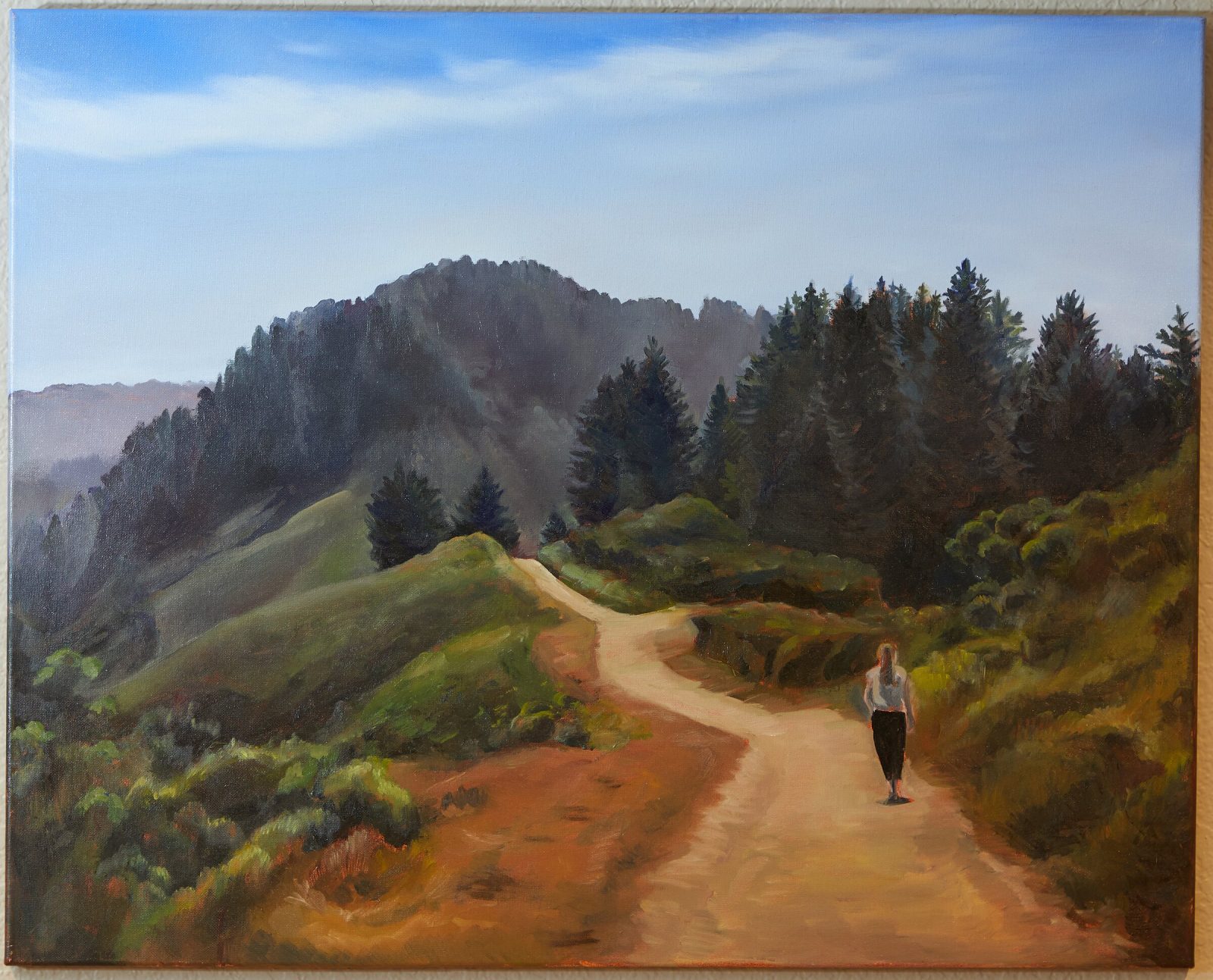 The Trail