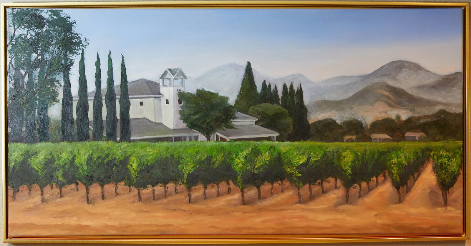 Vineyard